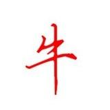 野牛支付通知群