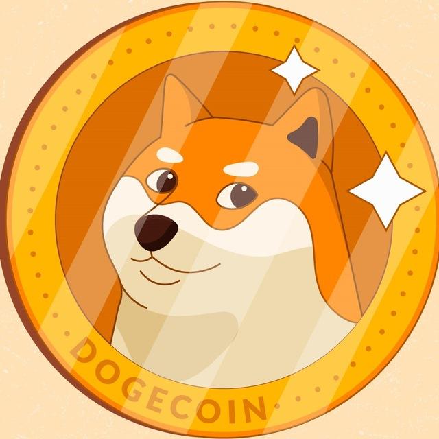 Payments - Dogecoin Automatic 🤖