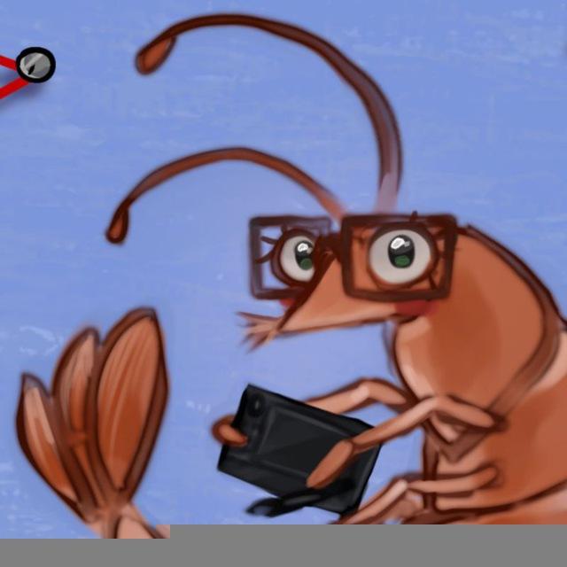 shrimpye
