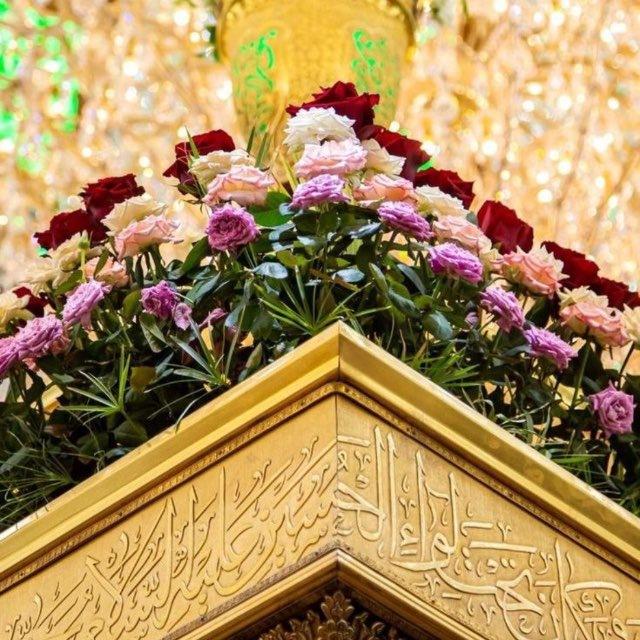 لَـعْلـهَا ذُخْرٌ🌿