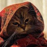 - تفكِير مُبَعثِر .