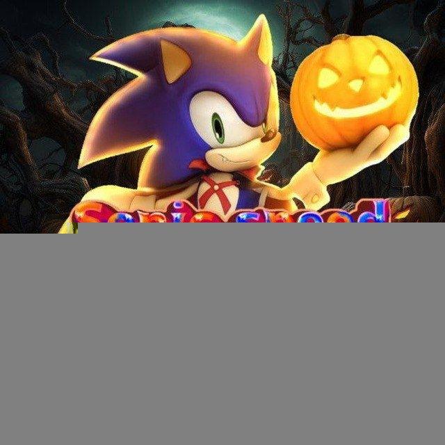 Sonic Speed Simulator