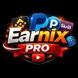 Earnix pro