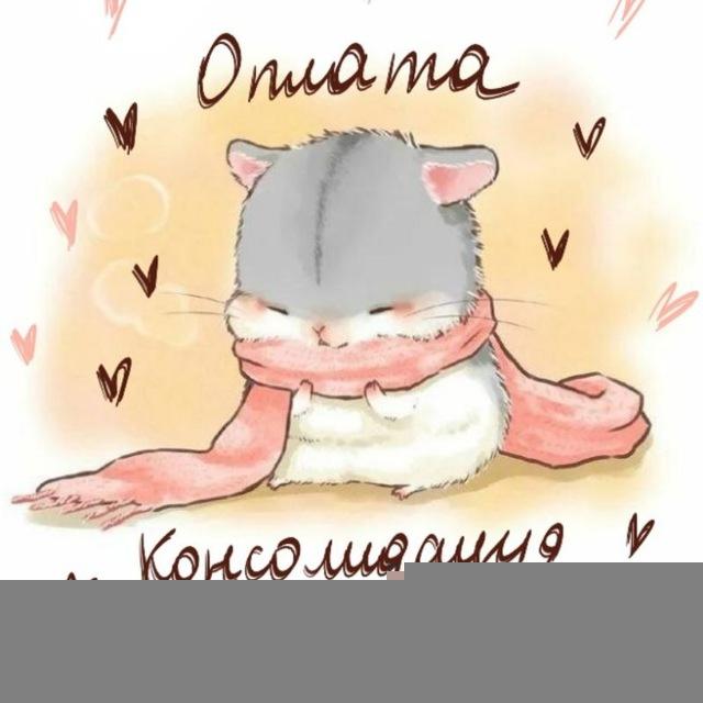 🐹 Оплата доставок | Hamster Shop