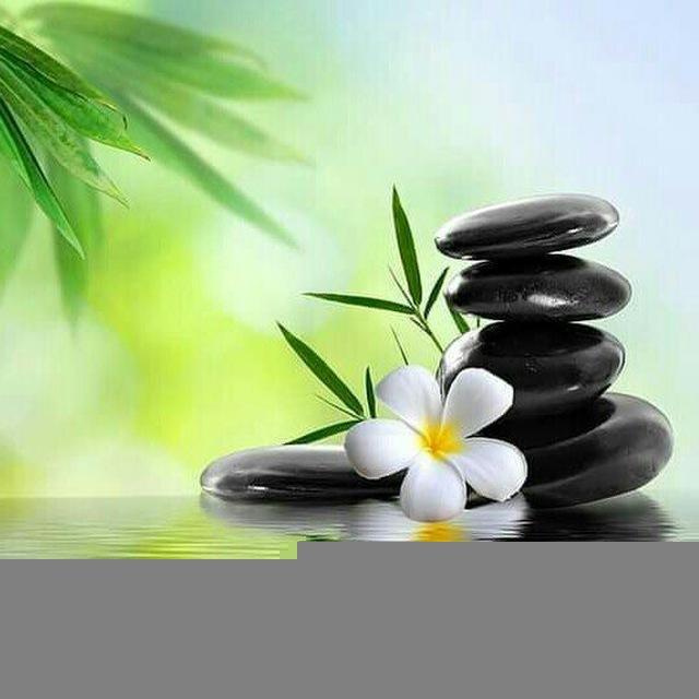 ပဋ္ဌာန်းတရားတော်များ