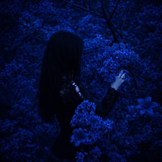 𝐵𝑙𝑢𝑒