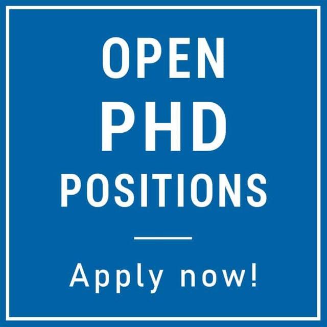 Apply Abroad