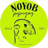 NOYOB POPUGAY 🐦‍⬛️