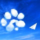 Ethio AirDrop