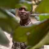 YAHAYA NEHEMIAH
