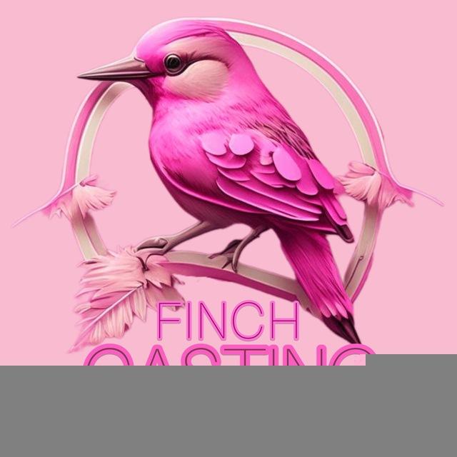 Кастинги Спб-Мск FINCH