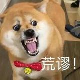 金贵通用拉码脚本