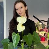 Анютины растения