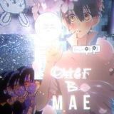 ❅ѕηєg в мαє⚝