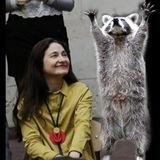 математика для єнота