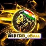 ALBERD feedback🎱