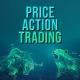 Price Action Courses