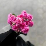 Sabriya’s blog🩷