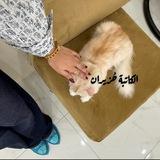 حُـــزيــران