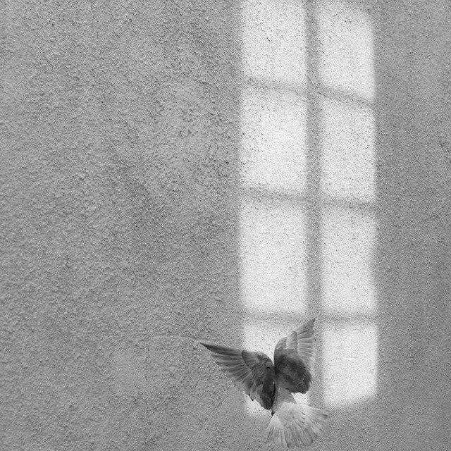 مُنتَأى | 🕊