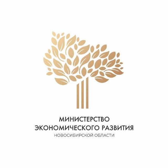 Поддержка экономики НСО