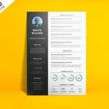 Cv Curriculum Vitae - Resume