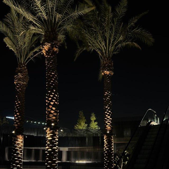 الحـادي عشر .