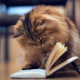 @bookbotgroup [ЧАТ] Flibusta Book