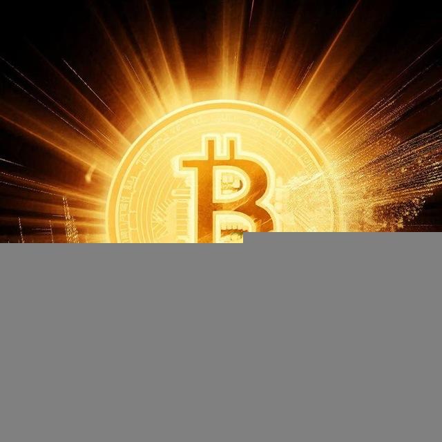 The Crypto Ledger