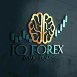 IQ forex signal