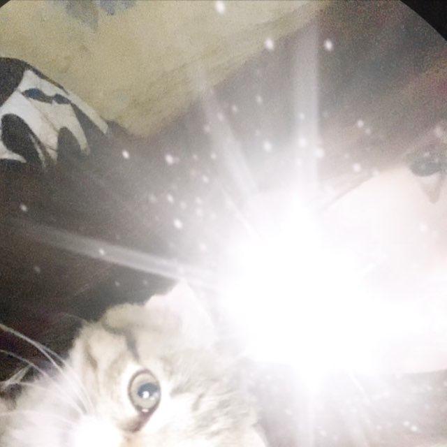vilxvv//¿