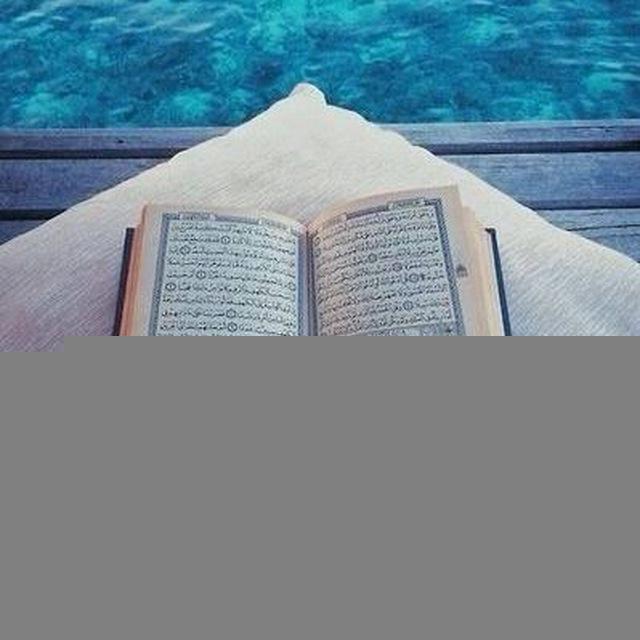 بصمات تلاوة قرآن راحه نفسيه ➽