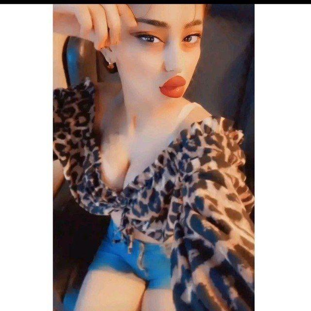يلدز حكومه 🔥🐆