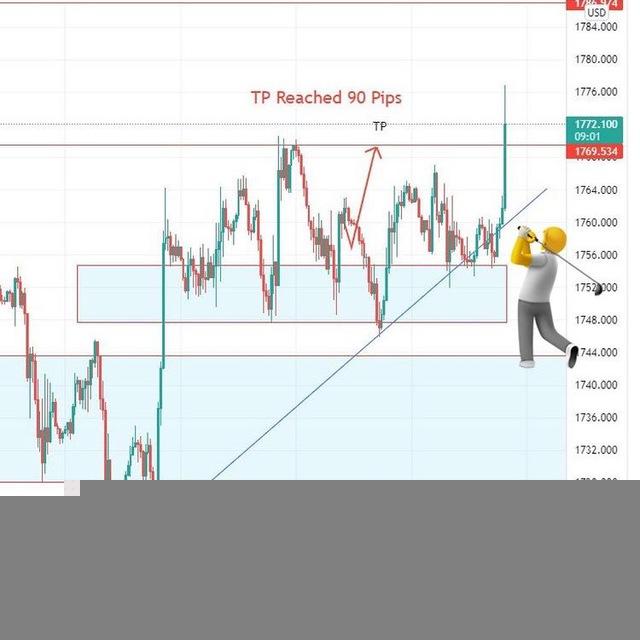 Mpesa Forex Investment Kenya