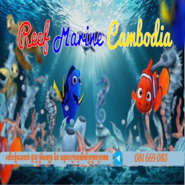 🇰🇭REEF MARINE CAMBO🇰🇭