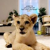 لـ ZAHRRA 💎🦅🔥’