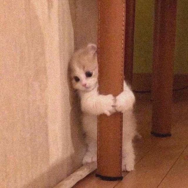 - эмодзи, стикеры - муру