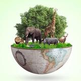 ENVIRONMENT MINDMAPS
