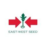 East-West Seed ព្រួញក្រហម