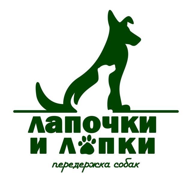 Лапочки и лапки