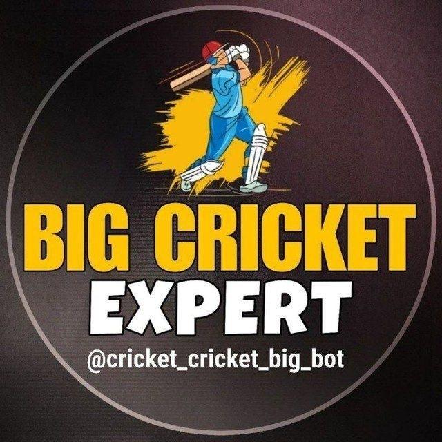 Big cricket expert 🏏