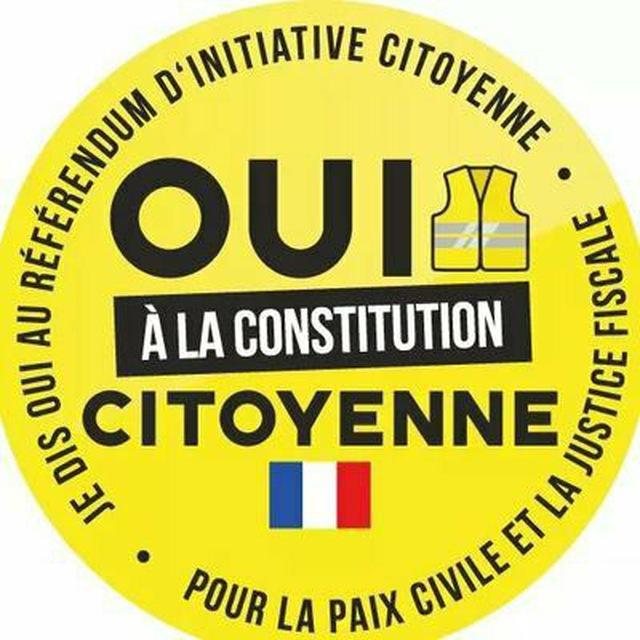 Gilets jaunes constituants