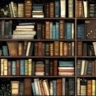 English pdf basic books