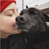 Четыре лапы рядом❤️ фотограф, каюр