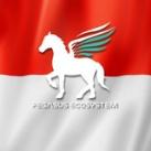 Pegasus Airdrop