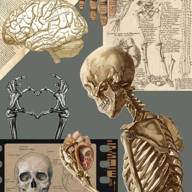 تمريضيون 💉🩺