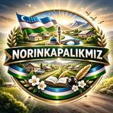 NORINKAPALIKMIZ