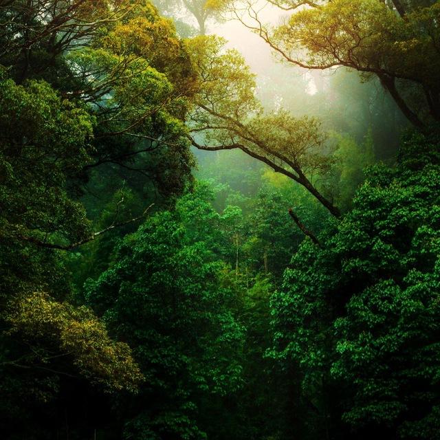 Nature Landscape Animal Photography Videos - TikTok Backup by AppleEditing [Mountains / Glaciers / Oceans / Switzerland]