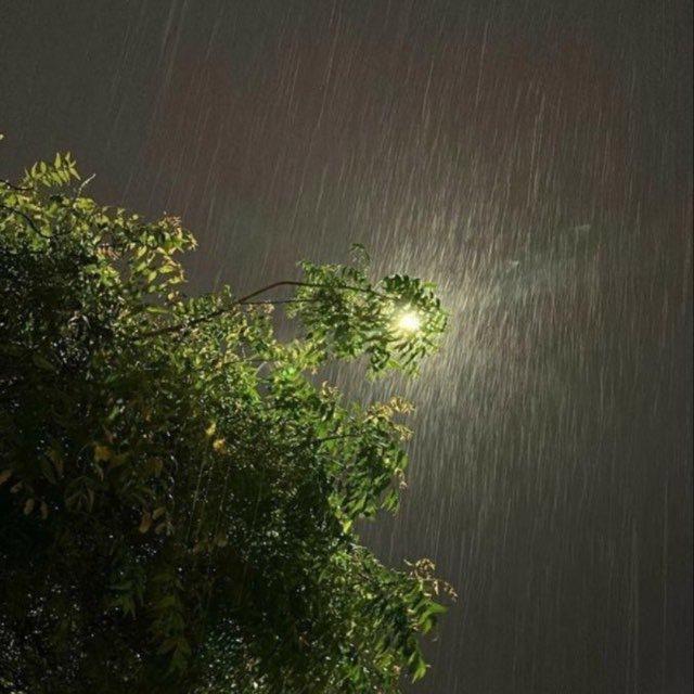 رَاحَة ♡ | 𝐐𝐔𝐑𝐀𝐍