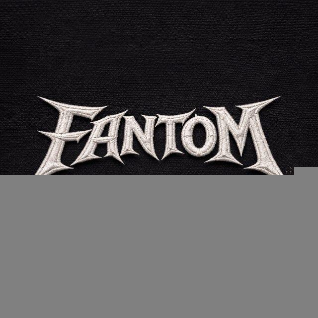 V2 | FANTOM
